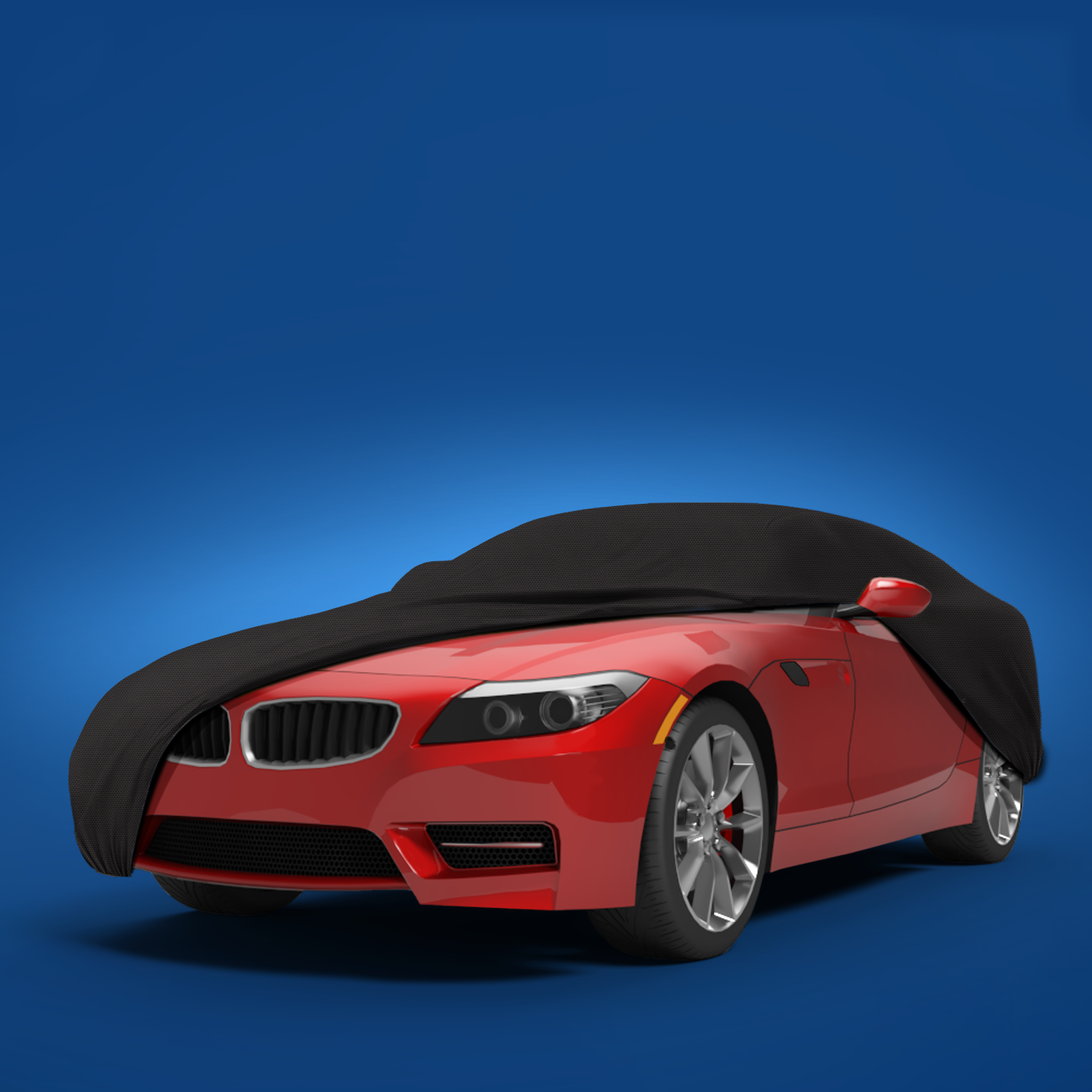 2010 BMW Z4 All Models - 15